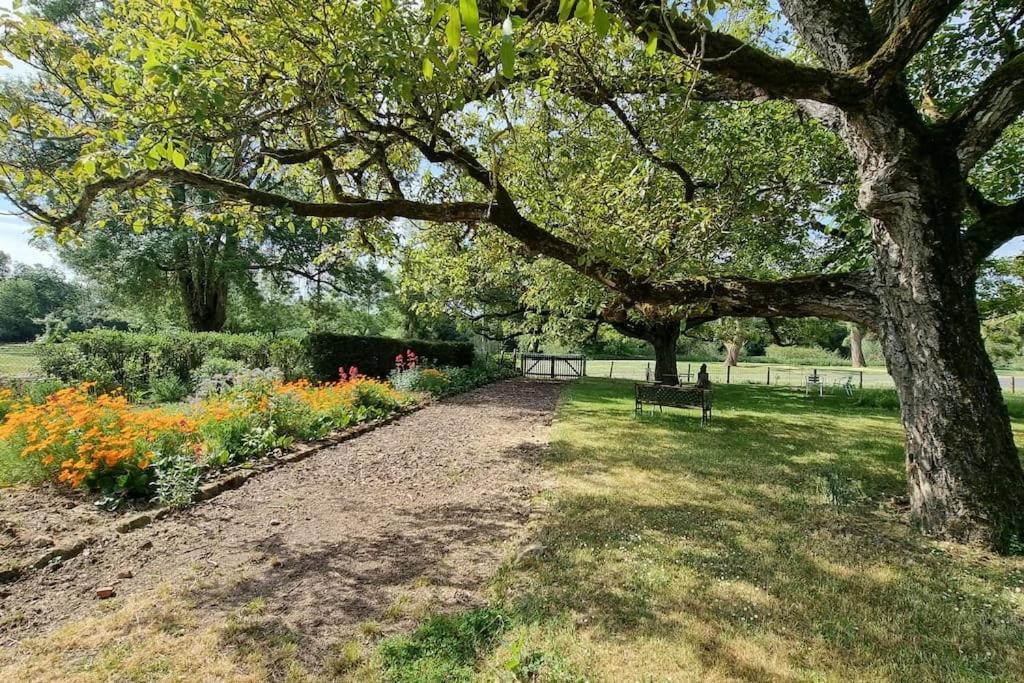 Les Noyers Monestois Entre Cher Et Canal De Berry Mennetou-sur-Cher Экстерьер фото
